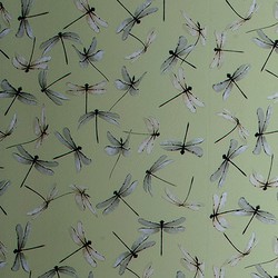 TAPETAI DRAGONFLY, MIMOU WP 2168 CALEDON