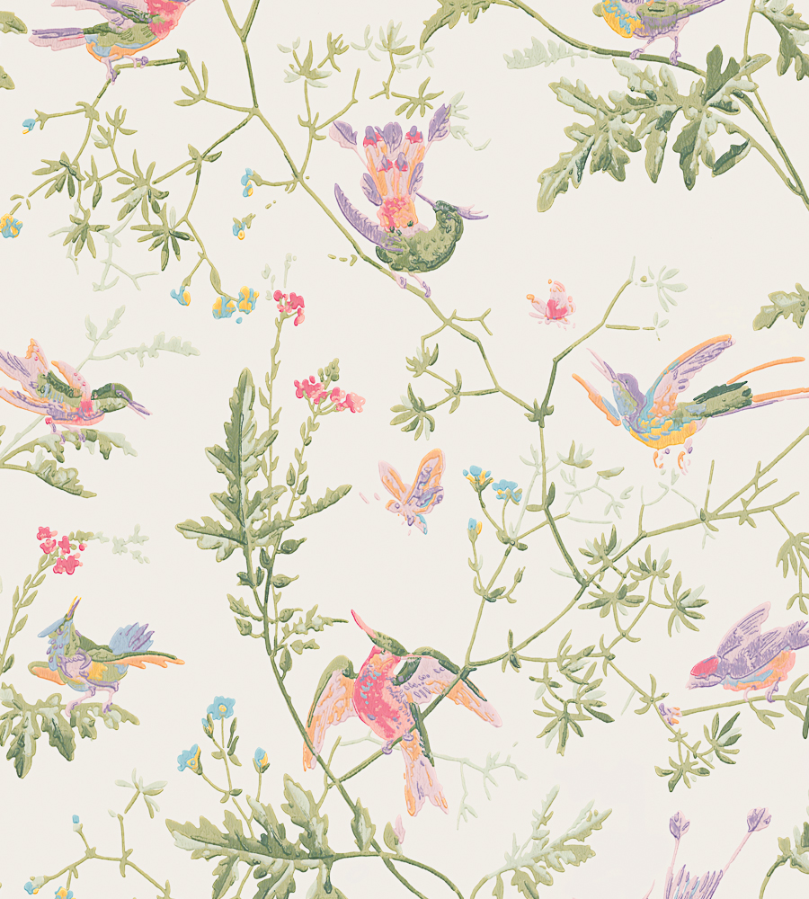 tapetai-archive-anthology-hummingbirds-100-14067