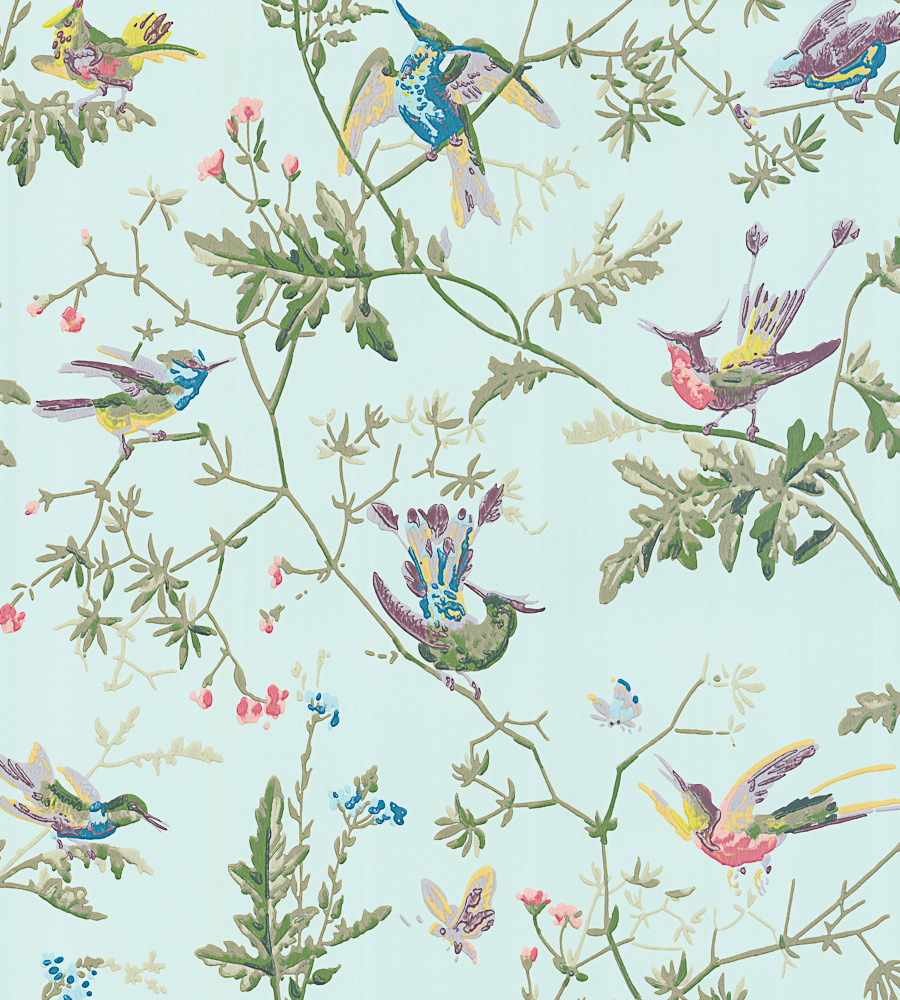 tapetai-archive-anthology-hummingbirds-100-14069