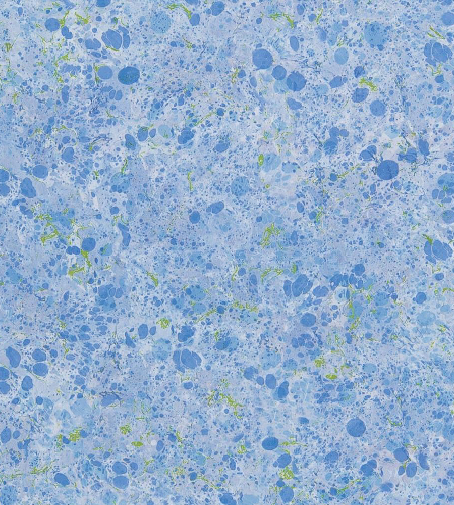 Tapetai Designers Guild, Majolica Wallpaper PDG1025-01