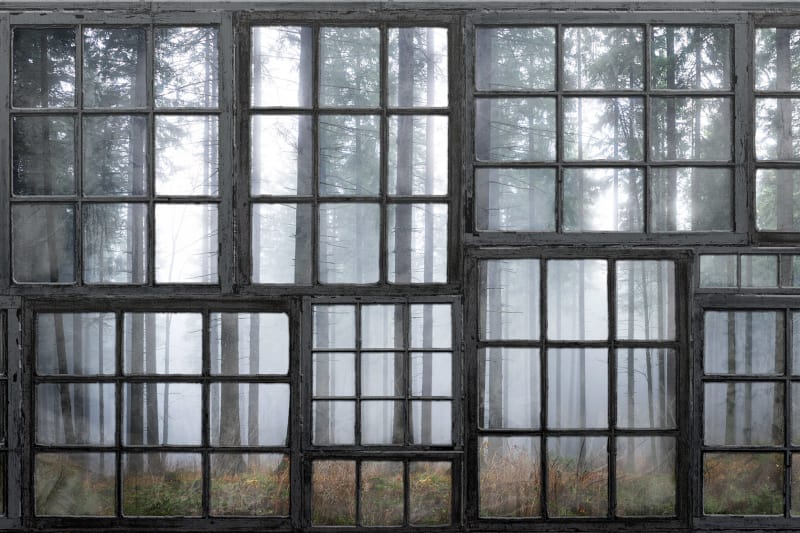 Tapetai Rebelwalls, home, Cabin