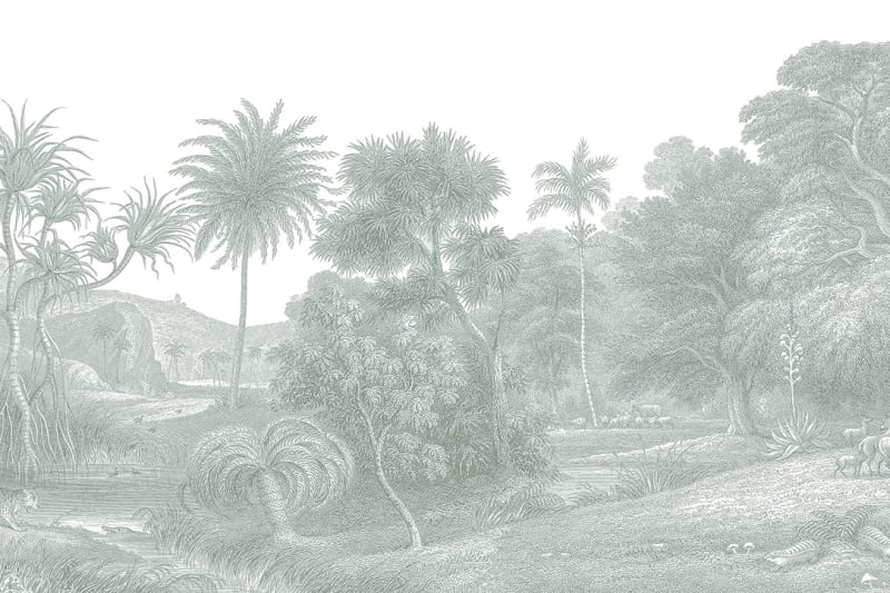 Tapetai rebelwalls, palette, Jungle Land, Verdant, R14613