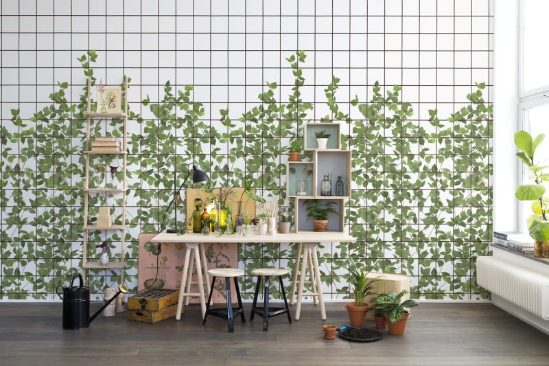 fototapetai rebel wall, bouquet, Climbing Clorofyl R13993 interjere