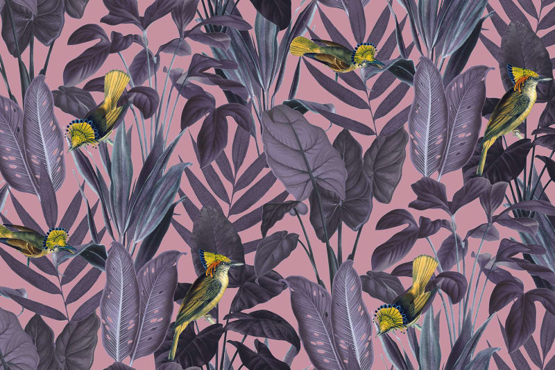 fototapetai rebel wall, bouquet, Yellow Bird, Dusk