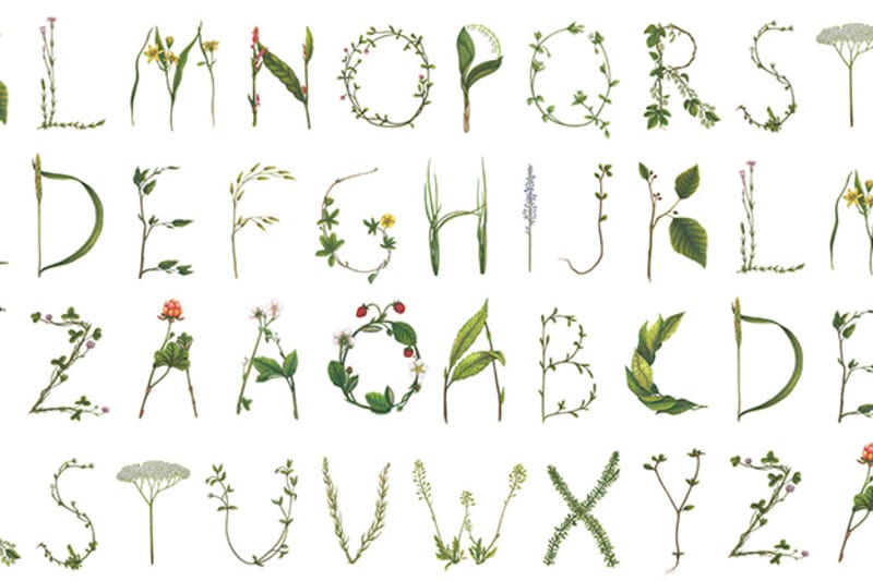 fototapetai rebel wall, bouquet, floral alphabet